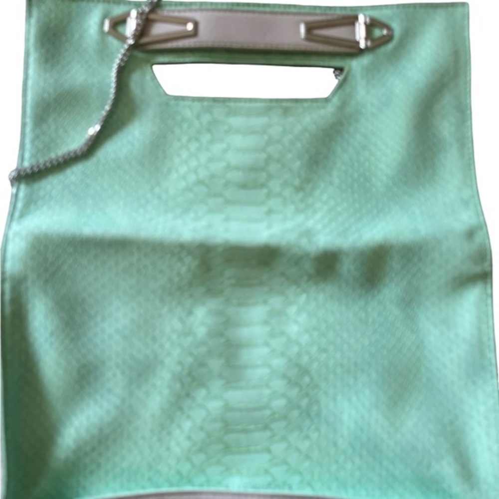 Danielle Nicole Mint Green Purse Silver Strap 11.5x7 Chic Crossbody EUC